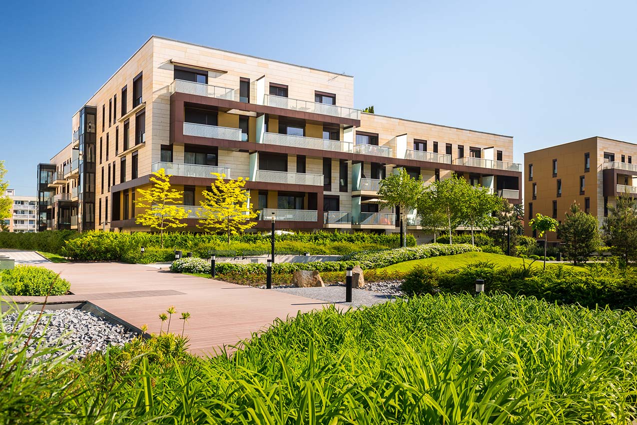 Serenity Series window