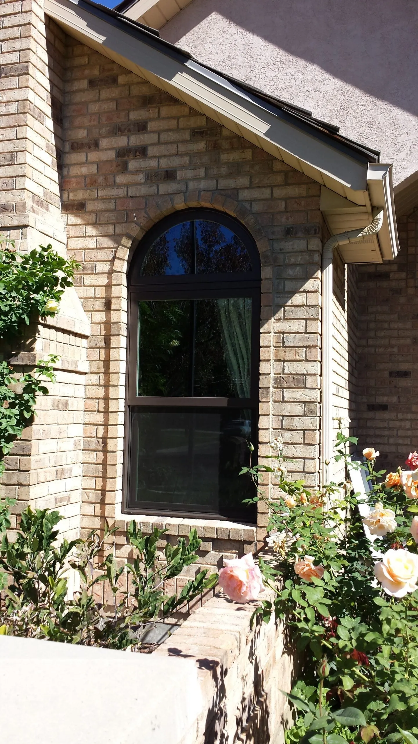 Recent window replacement project 4