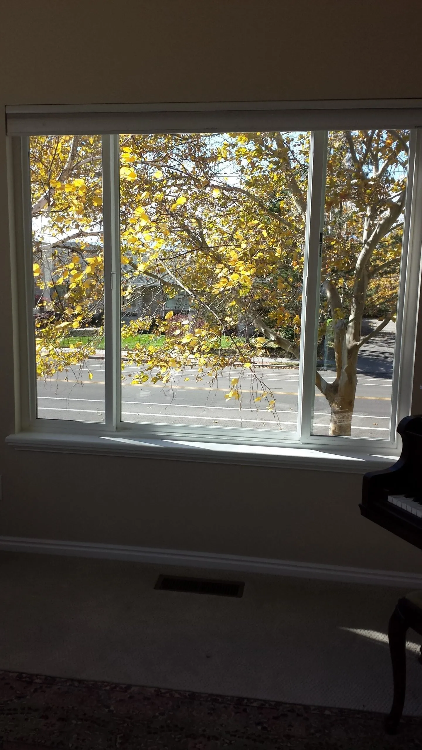 Recent window replacement project 6