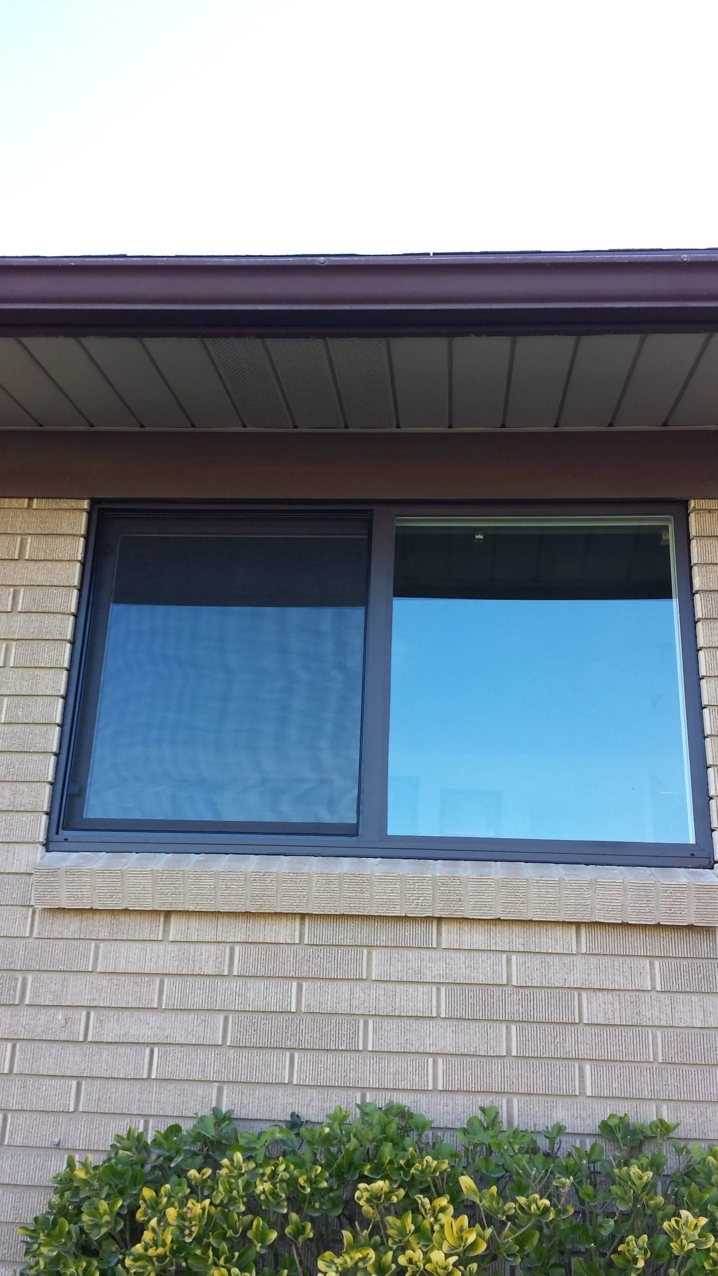 Recent window replacement project 7