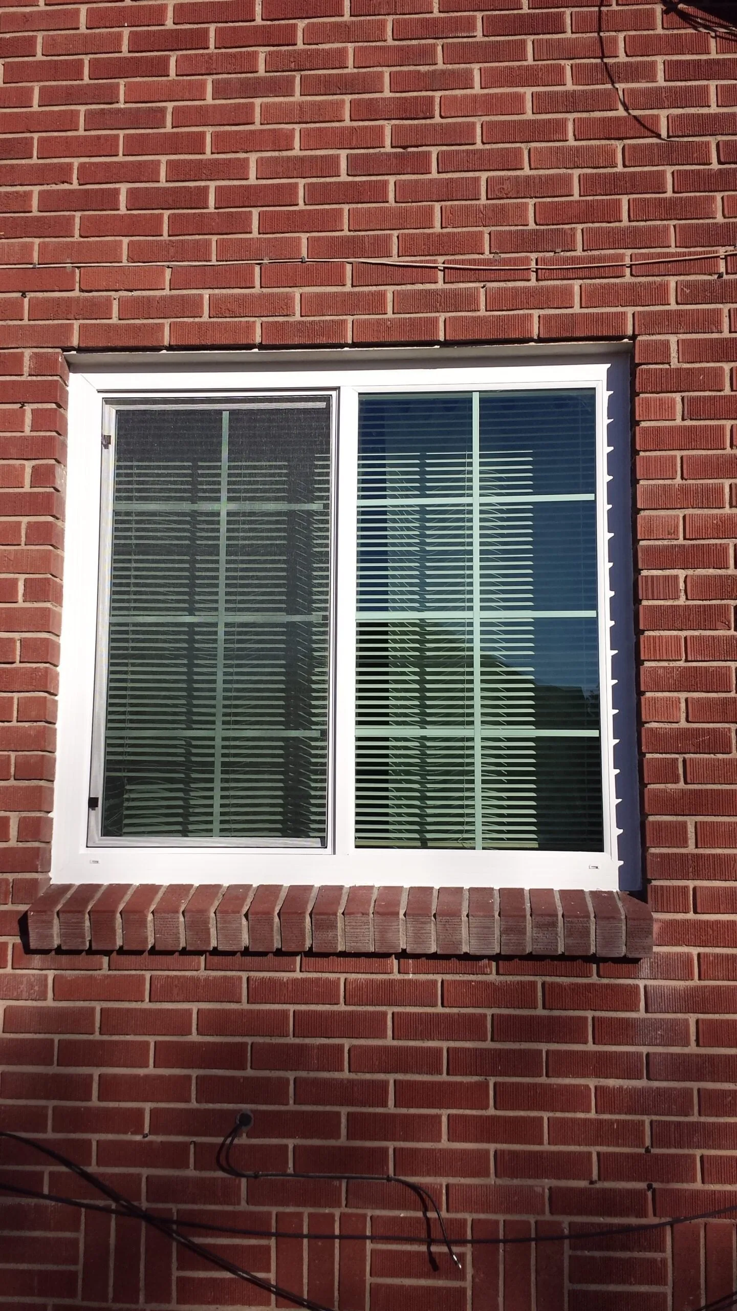 Recent window replacement project 11