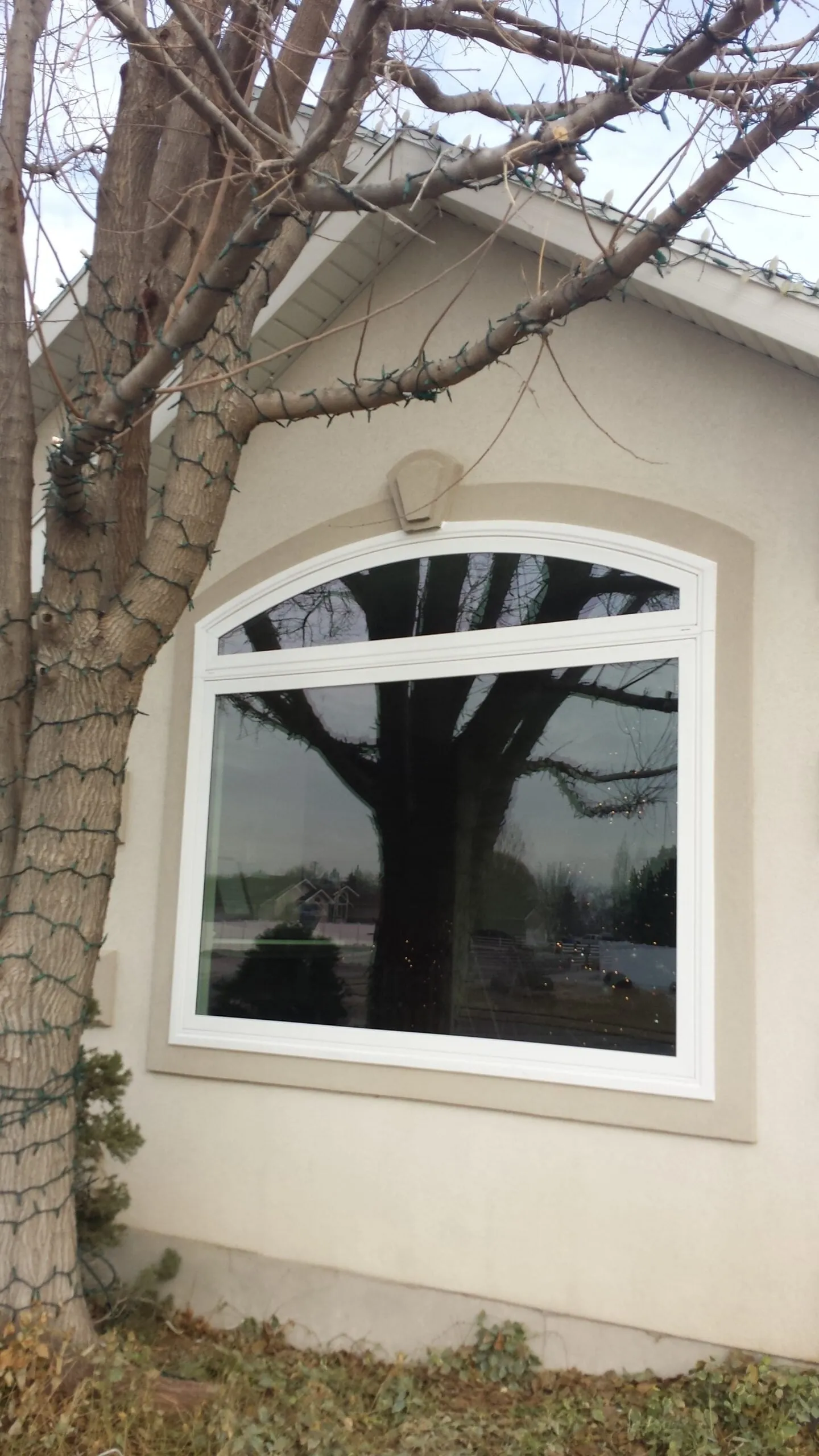 Recent window replacement project 13
