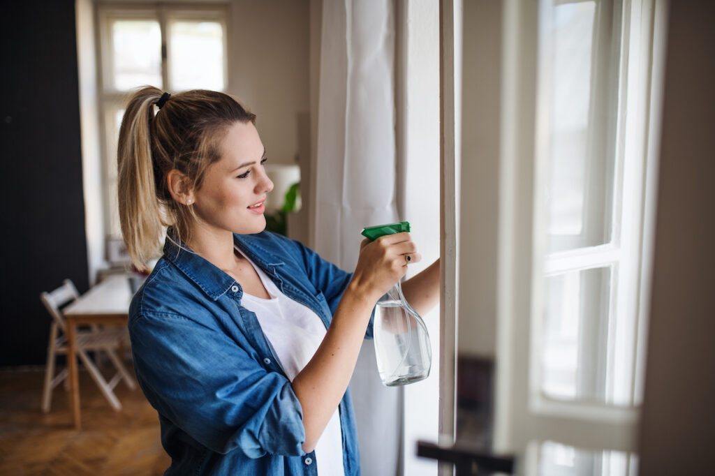woman cleaning window screens