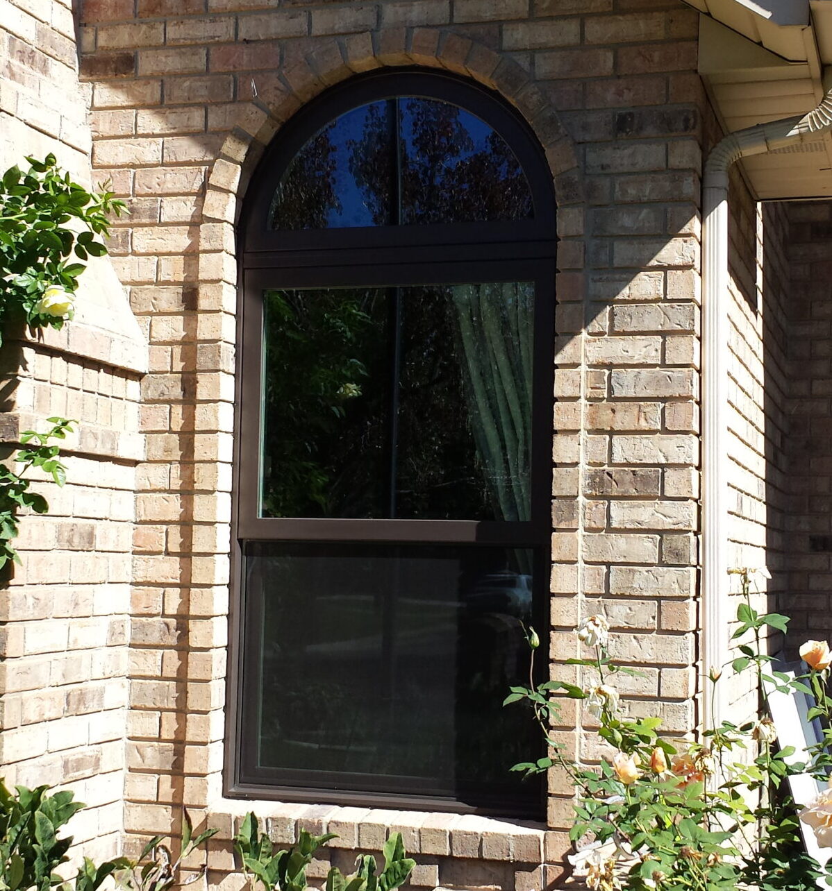 black replacement windows in brick, milgard